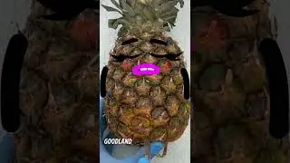 Goodland | Pineapple surgery 😂 