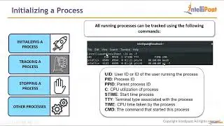 LM3 Lecture 2 – Process Control Commands | Linux course || #linuxadministration #course #begginners
