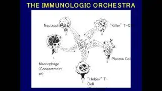 Getting to Know Primary Immunodeficiency