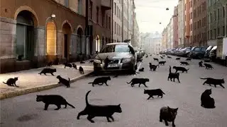 СИЛЬНАЯ ЧИСТКА ОТ НЕУДАЧ И НЕВЕЗЕНИЯ...ДЛЯ ВСЕХ..