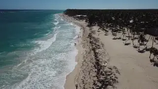 ВОДОРОСЛИ в ДОМИНИКАНЕ 🇩🇴РЕАЛЬНАЯ ОБСТАНОВКА на БЕРЕГУ ПЛЯЖА БАВАРО СЕЙЧАС ТОЛЬКО ПРАВДА.ЕСТЬ ЛИ?