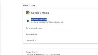 Check for Chrome Updates: Latest Version & Security