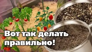 Грамотное мульчирование растений  Одна из самых важных садовых операций