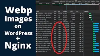 How to Serve WordPress Images as Webp (Next Gen Format) on Nginx