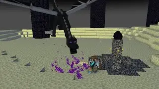 Поход в Эндер мир. Победил Эндер дракона. Прошёл Minecraft.