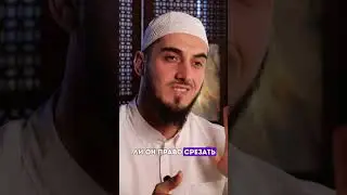Что делать с деревом соседа? 