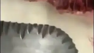 ТЯПКА НА ВСЕ СЛУЧАИ В ЖИЗНИ ‼️ . ВИДЕО ОТЗЫВ ОТ КЛИЕНТА 🤝