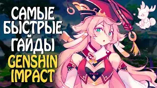 Самый БЫСТРЫЙ гайд на ЯНЬ ФЕЙ в Genshin Impact