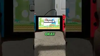 Using a Wii Emulator on my Nintendo Switch...