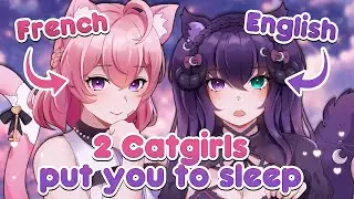 ASMR 3DIO | 2 Catgirls (French and English) Put You To Sleep!🐱💤 [Whispers] [Positive affirmations]