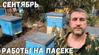 Подготовка пчелосемей к зимовке. Мысли вслух!