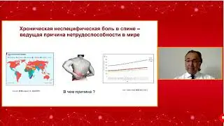 Миорелаксант новости 2022