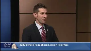 2022 Senate Republican Session Priorities