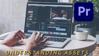 Understanding Asset Types & Organizing Structure In Premiere Pro