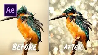 Add SHIMMER to PHOTOS! | After Effects Tutorial