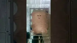 Это последний человек на земле 