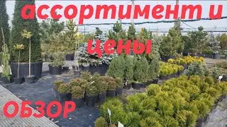 Прогулка по садовому центру