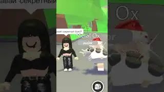 что выбрали бы вы?) 