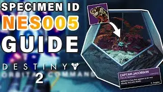 How to Complete Failsafe SPECIMEN ID: NES005 Complete Guide ► Destiny 2