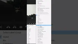 Premiere Pro Tips: how to Organize Clips with Color Labels in premiere pro