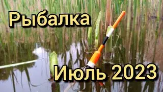 Рыбалка на поплавок 1июля 2023.Ловля карася на чеснок на реке!
