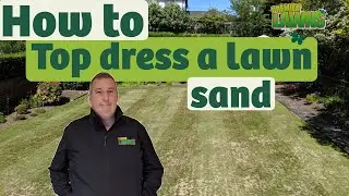 Top dress a lawn with sand