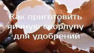 Для чего нужна яичная скорлупа в огороде?