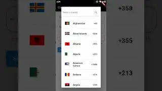 Implement Flag in TextField #Flutter #shorts