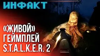 Фил Спенсер об Indiana Jones на PS5, 25 минут Kingdom Come II, «живой» билд S.T.A.L.K.E.R. 2...