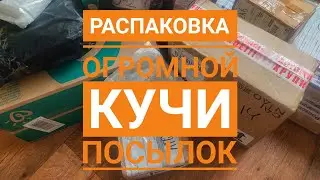 Распаковка большой КУЧИ посылок АЛИЭКСПРЕСС