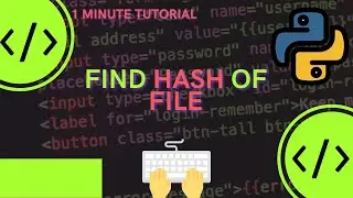 How to Find sha1 Hash of File in Python