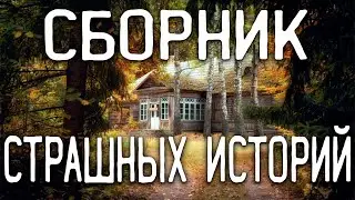 СТРАШНЫЕ ИСТОРИИ НА НОЧЬ / СТРАШНЫЕ ИСТОРИИ ПРО ДЕРЕВНЮ / СТРАШНЫЕ ИСТОРИИ ПРО ВЕДЬМ / ЛЕС