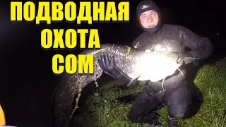 Подводная охота на сома 2021