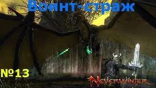 Neverwinter - Воин-страж (Часть 13 - быстрый и правильный способ кача)