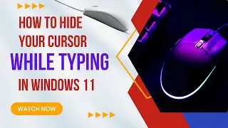 How to Hide Your Cursor While Typing in Windows 11