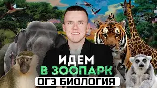 Идем в зоопарк! | ОГЭ 2025 по биологии