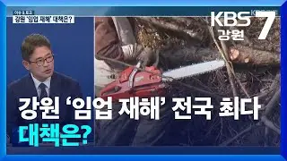 [이슈&토크] 강원 ‘임업 재해’ 전국 최다…대책은? / KBS  2024.11.11.