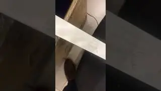 Печать белых лент - Лента Принт