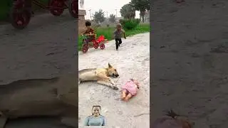#funny #cute #cutebaby #dog #baby #cutelovestory #lovemarriage #fu#funnycat #funnyanimal