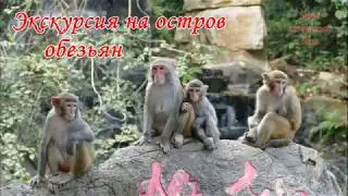 ОСТРОВ ОБЕЗЬЯН на Хайнани, КИТАЙ: что можно увидеть на экскурсии