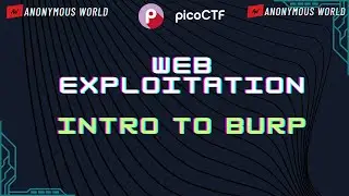 Intro to Burp Pico CTF 2024 Walkthrough | Web Exploitation | Pico CTF 2024