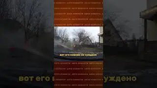 🤡 Клоун хотел РАЗБОРОК: не вышло | #shorts #mercedes #toyota #новостисегодня