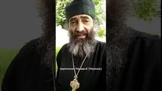 Блудная связь. Хоть горшком назови. иером Макарий Маркиш #shorts