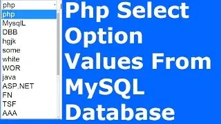 Php : How To Get Select Option Value From MySQL Database Using Php [ with source code ]