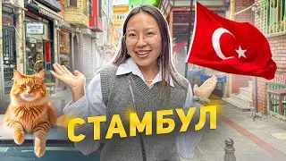 Мой один день в Турции! Шопинг к школе! Минусы путешествий! |Niky Sarang
