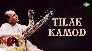 Tilak Kamod | Ustad Vilayat Khan | Sitar Music | Indian Classical Instrumental Music