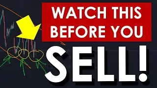 MARKET WILL NOT DUMP UNTIL YOU WATCH THIS (11 AUG) - SPY SPX OPTIONS ES MES QQQ SWING & DAY TRADING