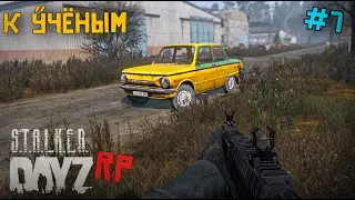 ДОРОГА К УЧЕНЫМ И НОВЫЙ КОНЬ. DAYZ STALKER RP 7 серия