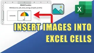 How to INSERT IMAGES into EXCEL Cells