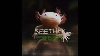 Seether - Out Of My Way